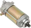 Rick's Electric Starter Motor