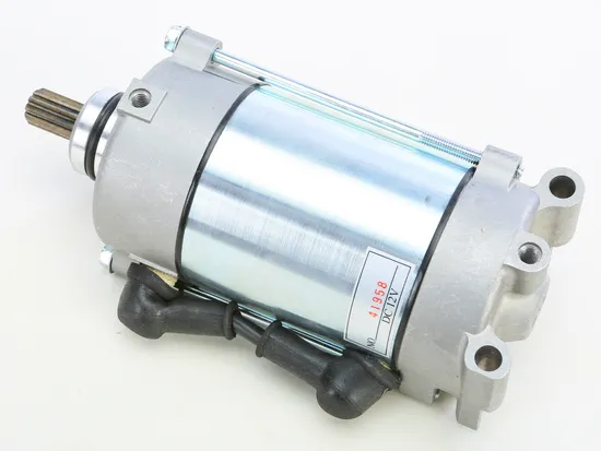 Rick's Electric Starter Motor