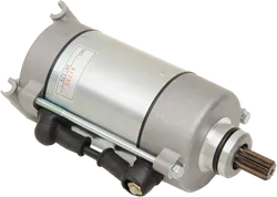 Rick's Electric Starter Motor