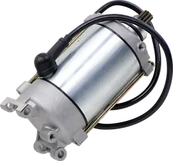 Rick's Electric Starter Motor