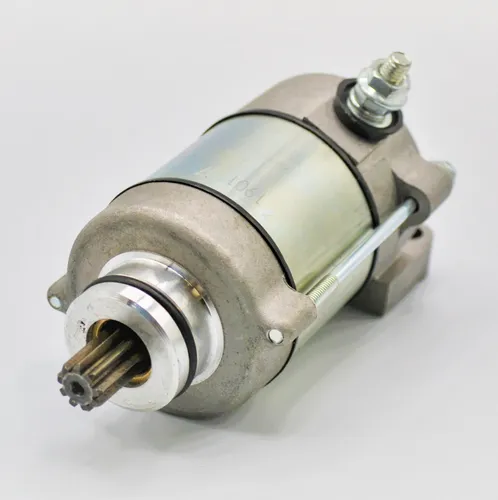 Rick's Electric Starter Motor
