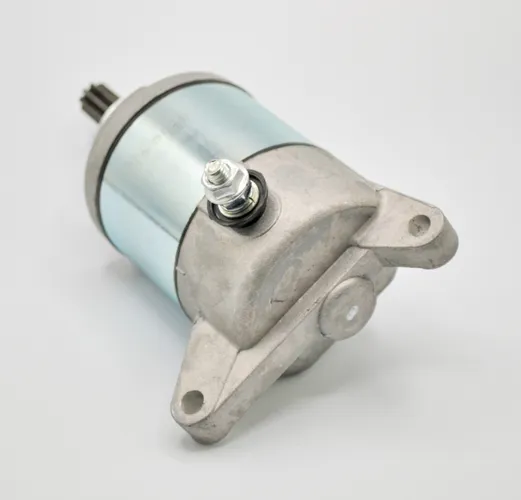 Rick's Electric Starter Motor