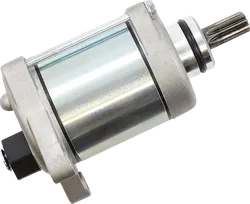 Ricks Electric Starter Motor