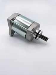 Ricks Electric Starter Motor