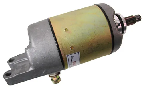 Rick's Electric Starter Motor