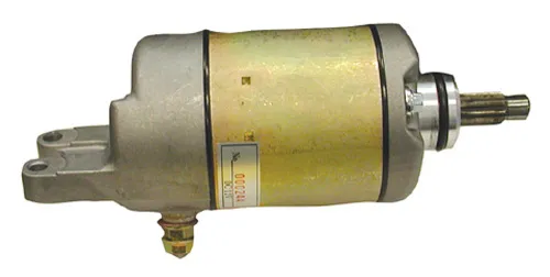 Rick's Electric Starter Motor