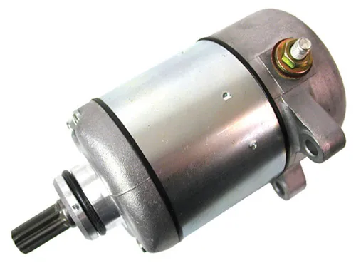 Rick's Electric Starter Motor