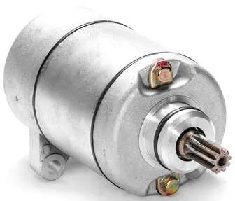 Rick's Electric Starter Motor