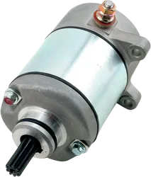 Rick's Electric Starter Motor