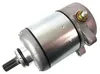 Rick's Electric Starter Motor