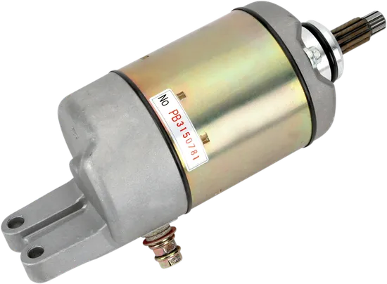 Ricks Electric Starter Motor