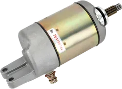 Ricks Electric Starter Motor
