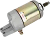 Ricks Electric Starter Motor