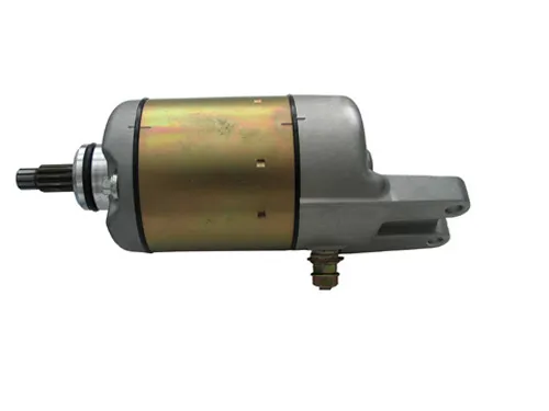 Rick's Electric Starter Motor