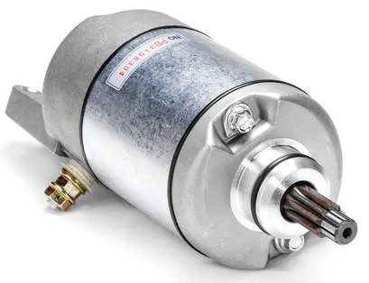 Rick's Electric Starter Motor