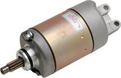 Rick's Electric Starter Motor