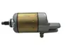 Rick's Electric Starter Motor