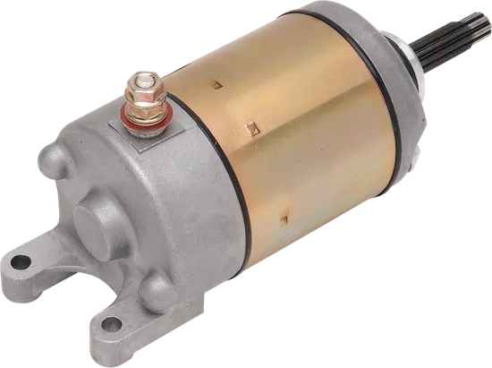 Rick's Electric Starter Motor