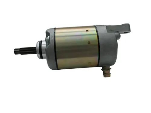 Rick's Electric Starter Motor