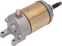 Rick's Electric Starter Motor