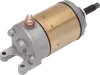 Rick's Electric Starter Motor
