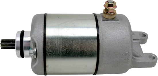 Rick's Electric Starter Motor