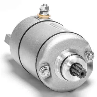 Rick's Electric Starter Motor