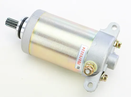 Rick's Electric Starter Motor