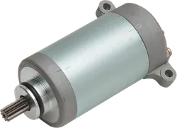 Rick's Electric Starter Motor