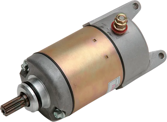 Rick's Electric Starter Motor