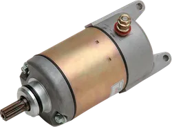 Rick's Electric Starter Motor