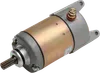 Rick's Electric Starter Motor