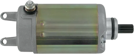 Rick's Electric Starter Motor