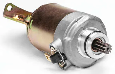 Rick's Electric Starter Motor
