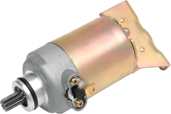 Rick's Electric Starter Motor