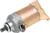 Rick's Electric Starter Motor
