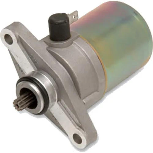 Rick's Electric Starter Motor