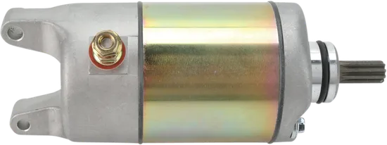 Rick's Electric Starter Motor