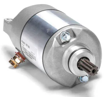 Rick's Electric Starter Motor
