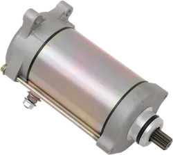 Rick's Electric Starter Motor
