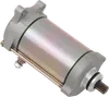 Rick's Electric Starter Motor