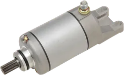 Rick's Electric Starter Motor