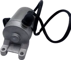 Ricks Electric Starter Motor