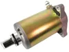 Rick's Electric Starter Motor