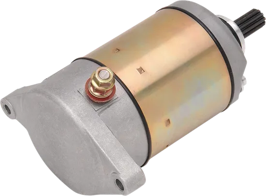Rick's Electric Starter Motor