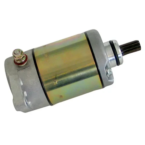 Rick's Electric Starter Motor