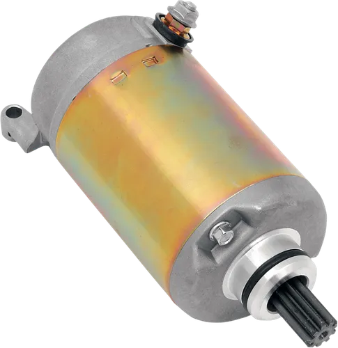 Rick's Electric Starter Motor