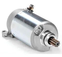 Rick's Electric Starter Motor