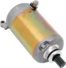 Rick's Electric Starter Motor