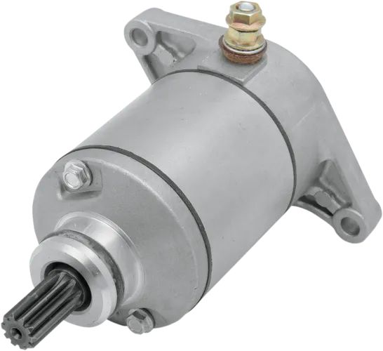 Rick's Electric Starter Motor